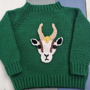 IMG-20231229-WA0088 Personalized Jersey. A photo of a dark green crocheted baby jersey featuring a springbok motif on the front.