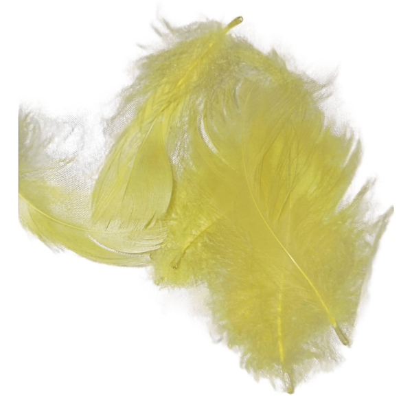 WhatsApp Image 2024-08-27 at 18.51.53 Colorful Handmade Feathers, perfect for craft jewelry, wedding decorations, party décor, and gift box fillers