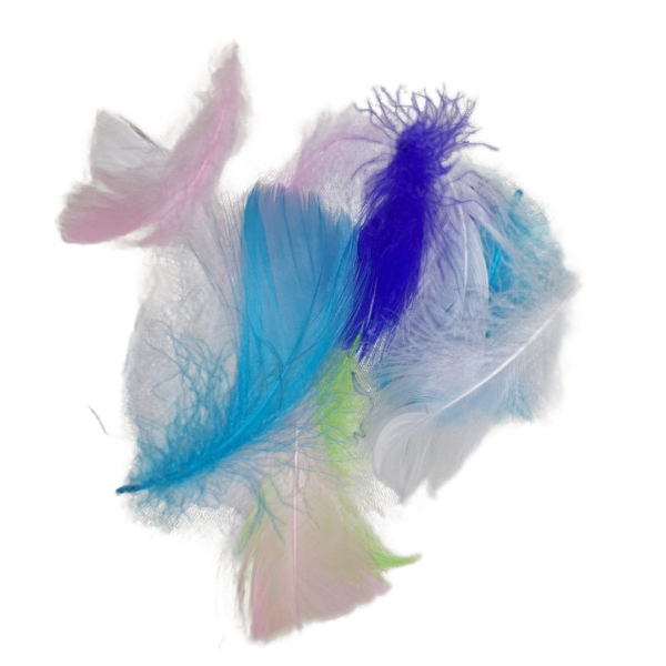 WhatsApp Image 2024-08-27 at 18.53.05 Colorful Handmade Feathers, perfect for craft jewelry, wedding decorations, party décor, and gift box fillers