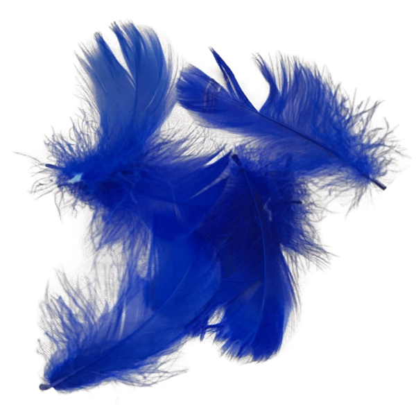 WhatsApp Image 2024-08-27 at 18.54.29 Colorful Handmade Feathers, perfect for craft jewelry, wedding decorations, party décor, and gift box fillers