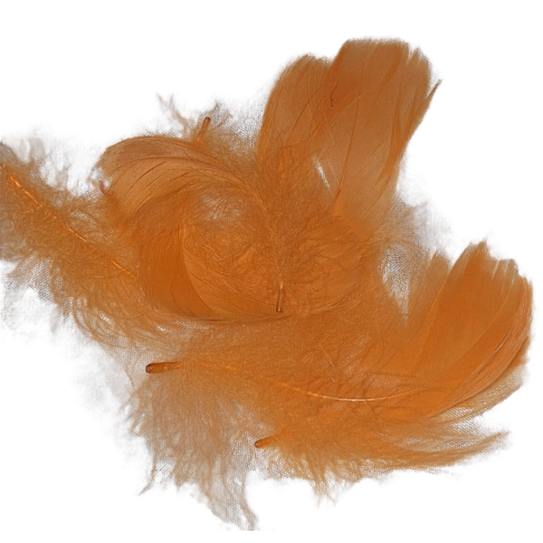 WhatsApp Image 2024-08-27 at 18.55.38 Colorful Handmade Feathers, perfect for craft jewelry, wedding decorations, party décor, and gift box fillers